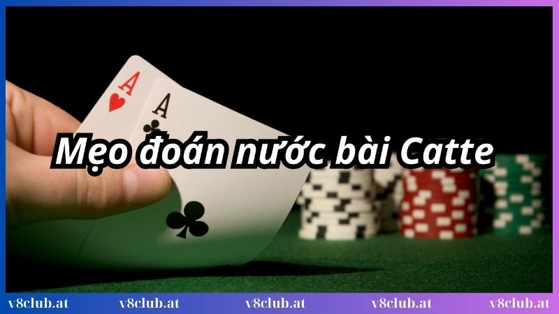Mẹo đoán nước bài Catte cực chuẩn